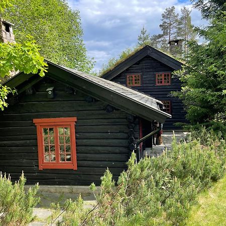 Hallingstua Oslo Esterno foto
