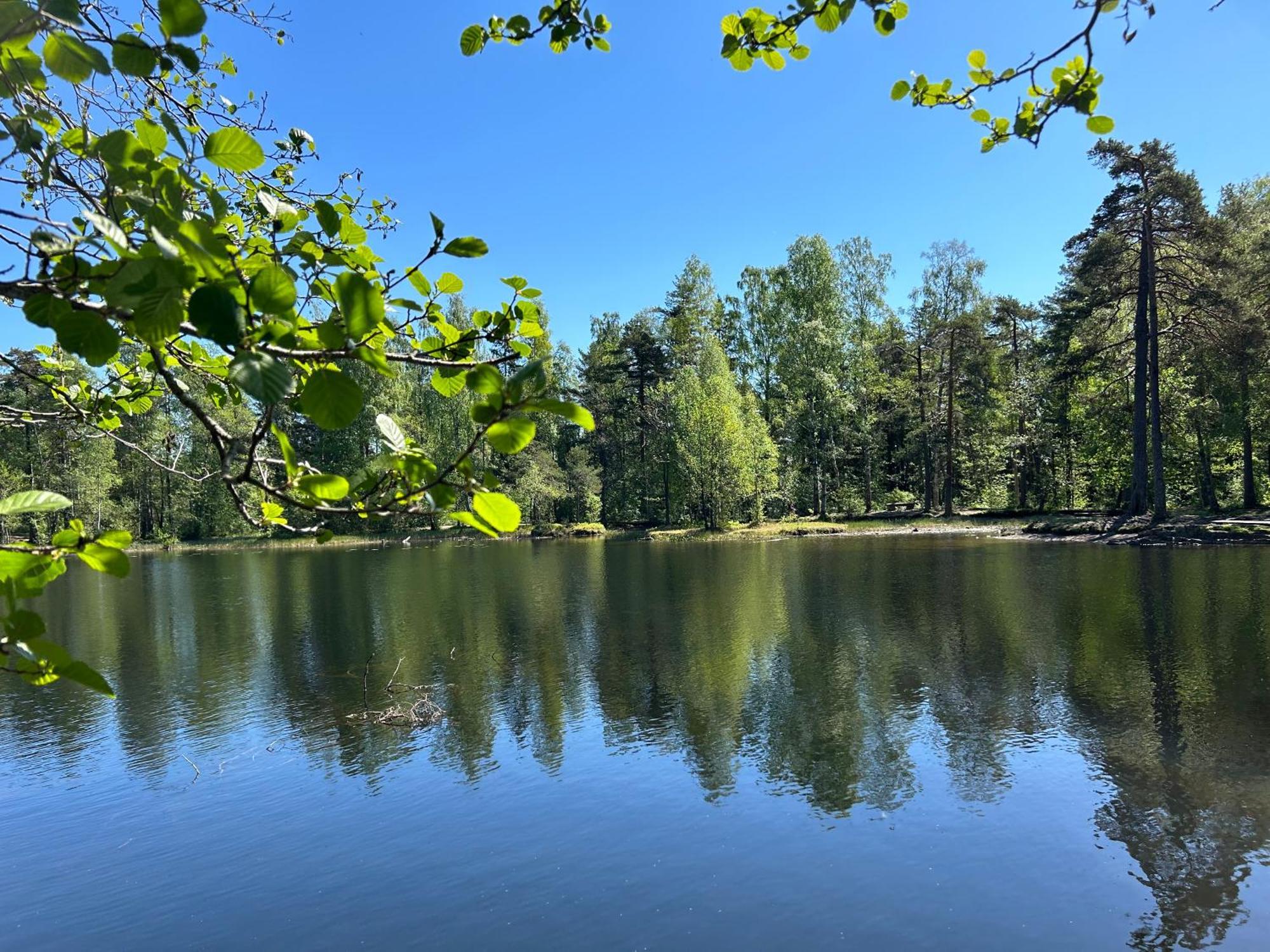 Hallingstua Oslo Esterno foto